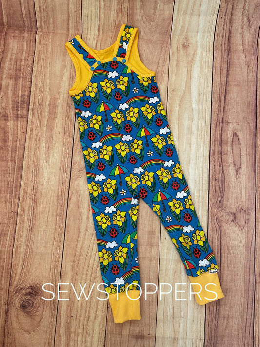 The Boston Romper 2-3yrs (ready to go)